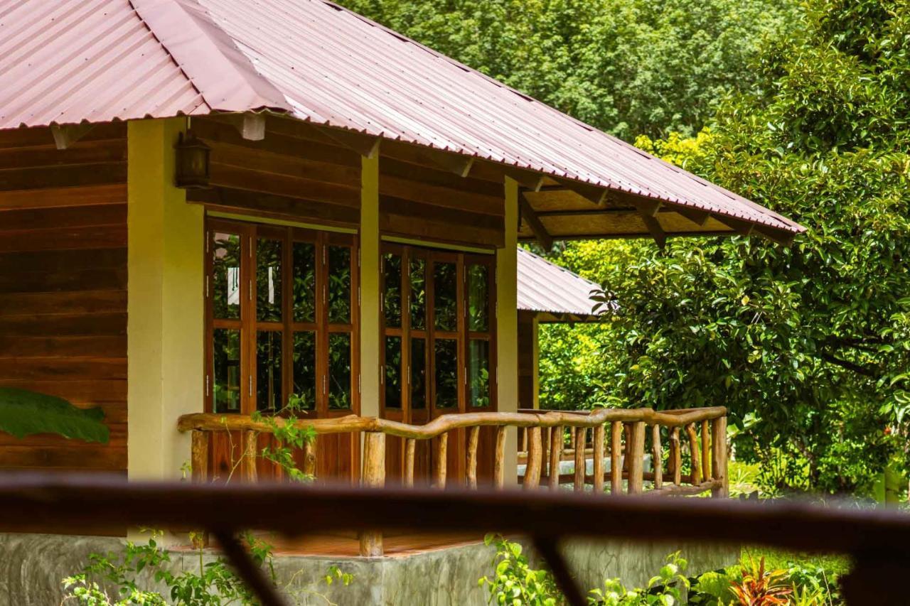 Monkey Mansion - Jungalows & Tours Khao Sok National Park Ngoại thất bức ảnh