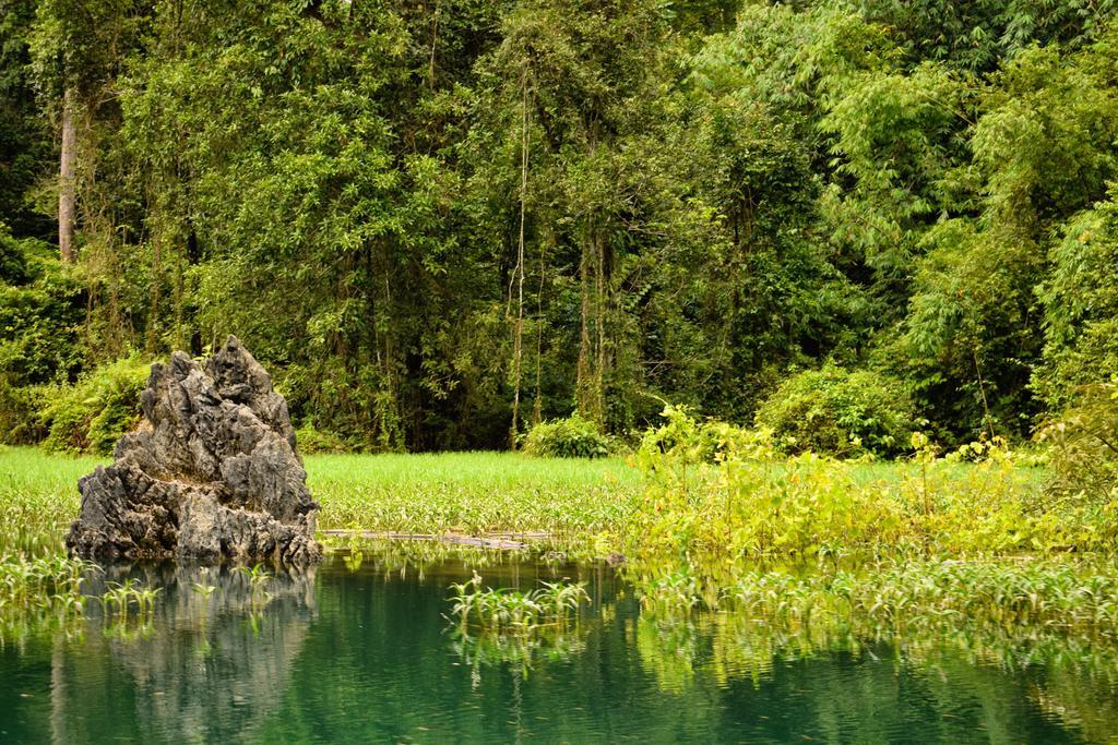 Monkey Mansion - Jungalows & Tours Khao Sok National Park Ngoại thất bức ảnh